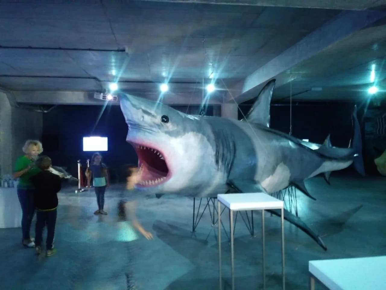 Oceanarium w Międzyzdrojach - atrakcje, godziny otwarcia i ceny biletów