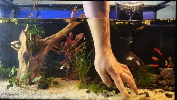 Jak skutecznie używać odmulacza do akwarium i unikać błędów