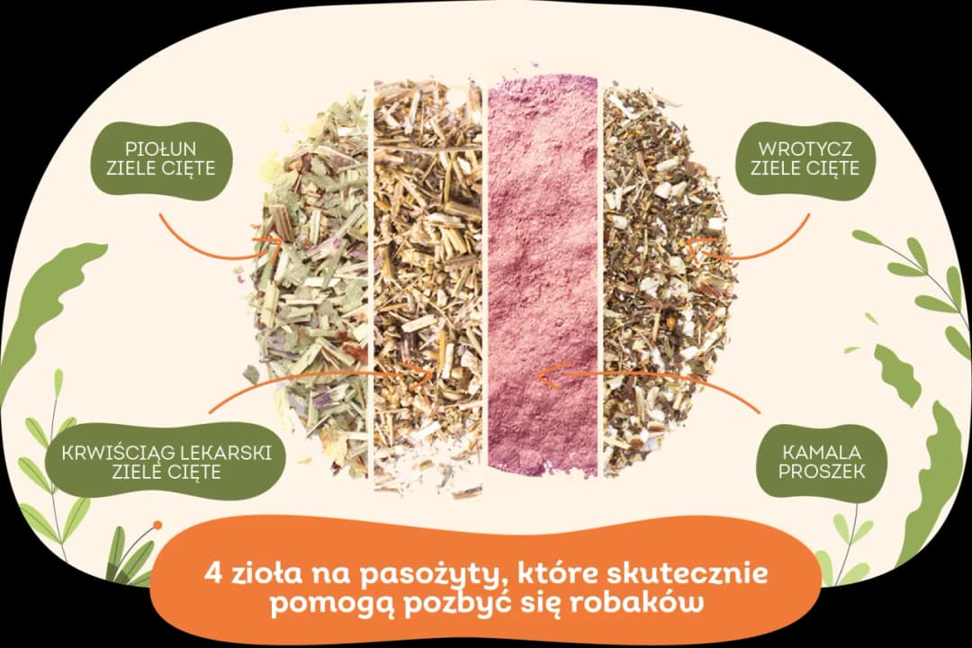 Czym odrobaczać psa? Skuteczne metody i naturalne alternatywy