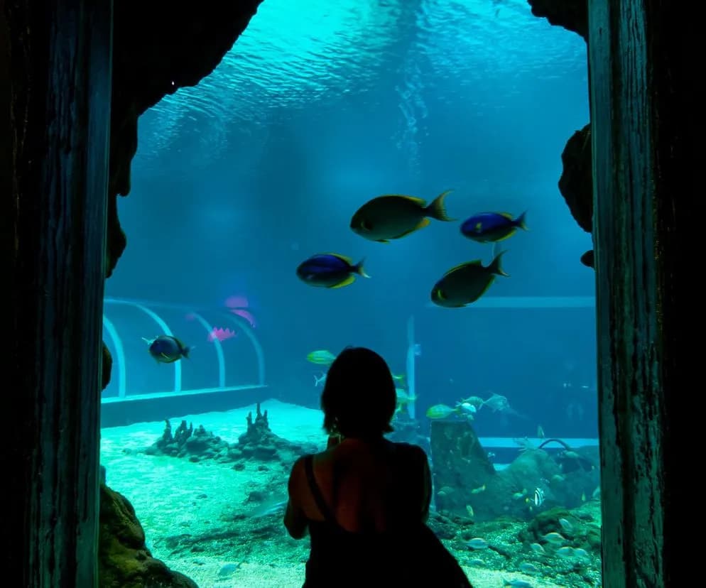 Bilety do oceanarium w Łodzi: ceny, zniżki i jak kupić online