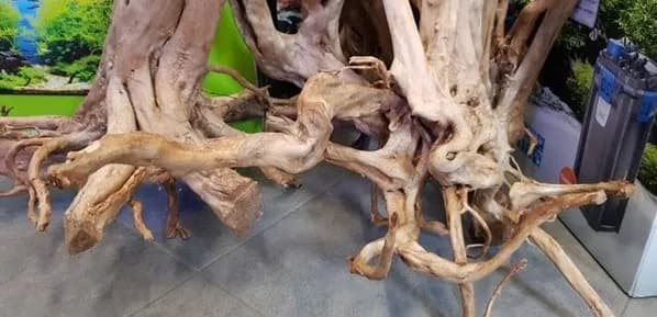 Jaki korzeń do akwarium wybrać, aby uniknąć problemów z wodą?