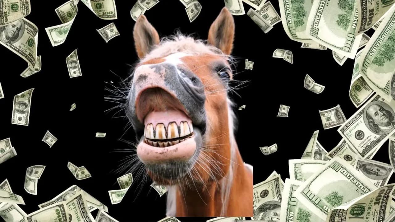 Ile kosztuje weterynarz dla konia? Poznaj ukryte wydatki i oszczędności