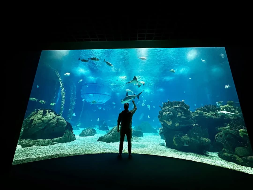 Oceanarium Lizbona – fascynujące morskie stworzenia i atrakcje dla rodzin