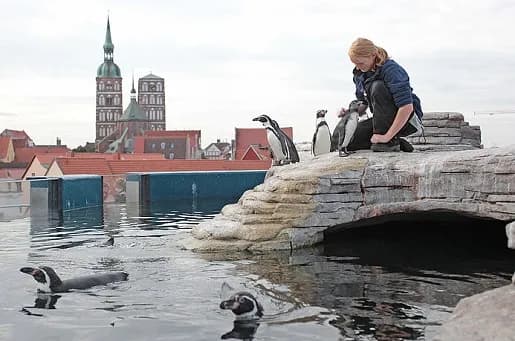 Oceanarium Stralsund opinie: co warto wiedzieć przed wizytą?
