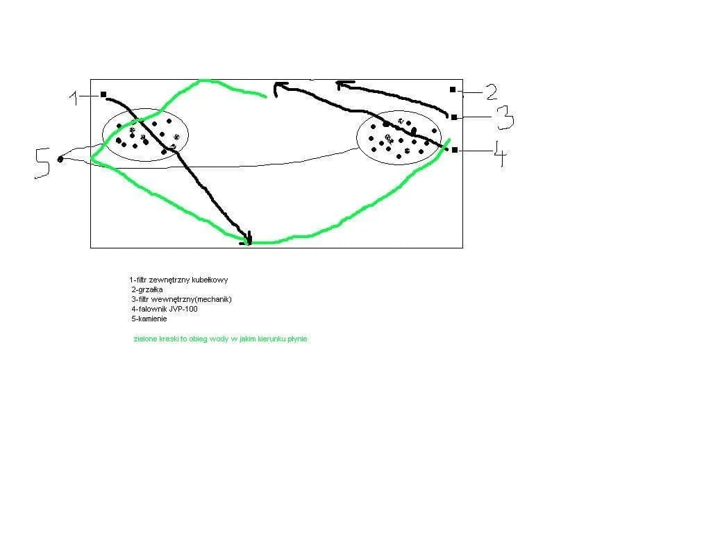 Jak ustawić wlot i wylot filtra w akwarium, by uniknąć problemów z cyrkulacją