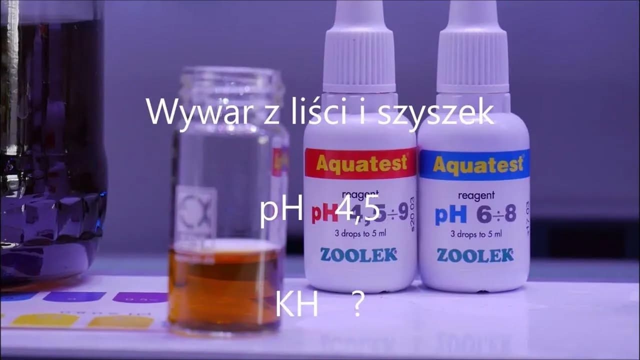 Jak obniżyć KH w akwarium i poprawić zdrowie ryb bez stresu