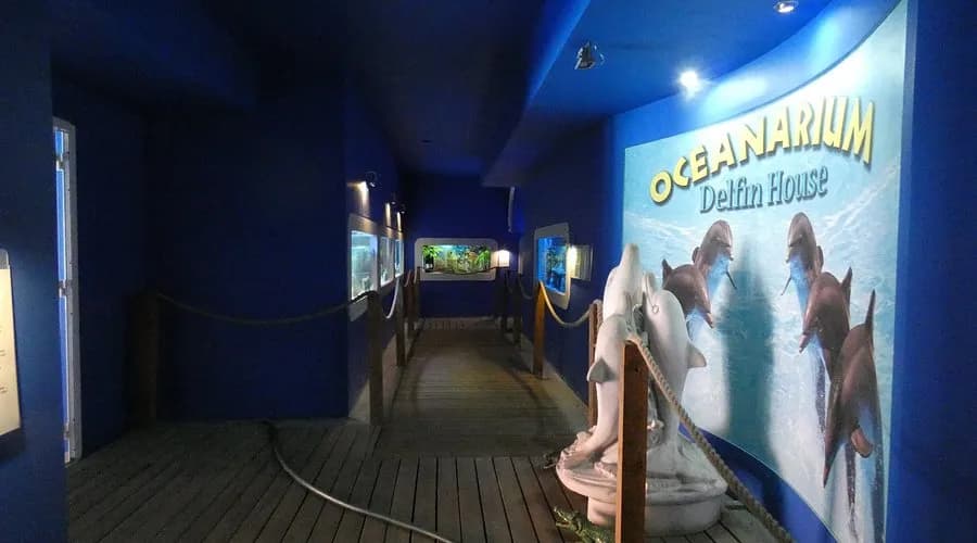 Oceanarium Łeba – fascynujący świat morskich stworzeń i edukacji