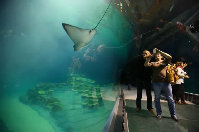 Status oceanarium w Chorzowie: co się wydarzyło z projektem?