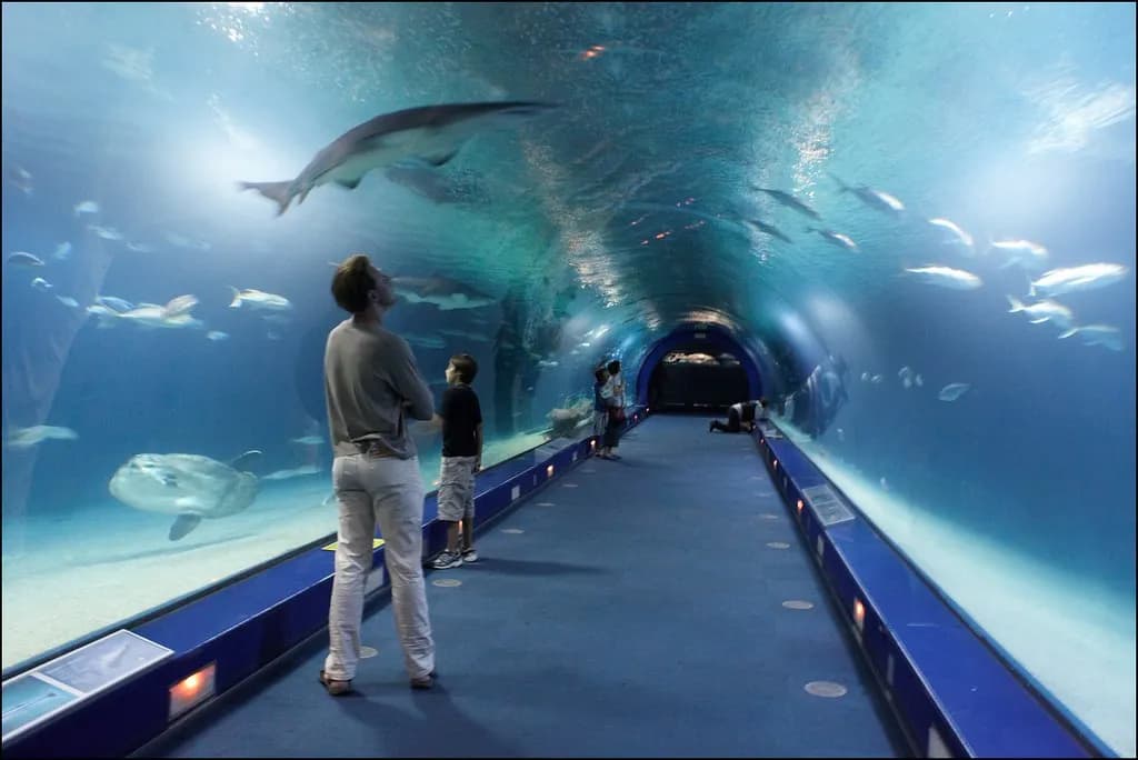 Oceanarium Kołobrzeg - atrakcje, ceny biletów i godziny otwarcia