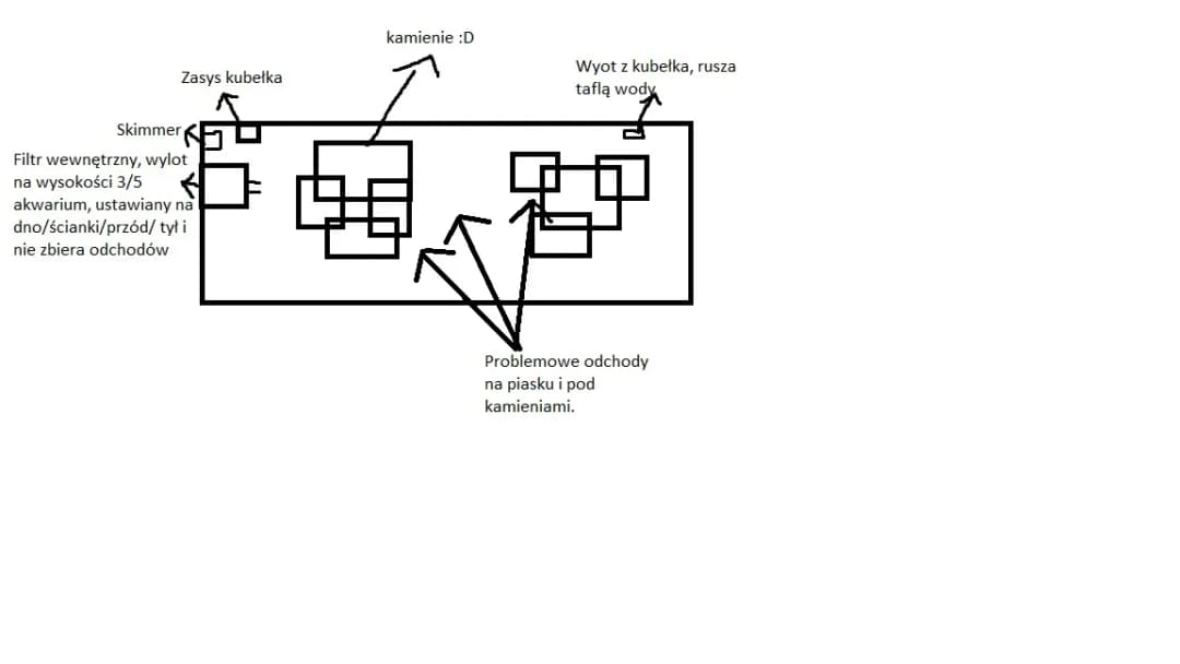 Jak prawidłowo ustawić filtr w akwarium, aby uniknąć problemów z wodą
