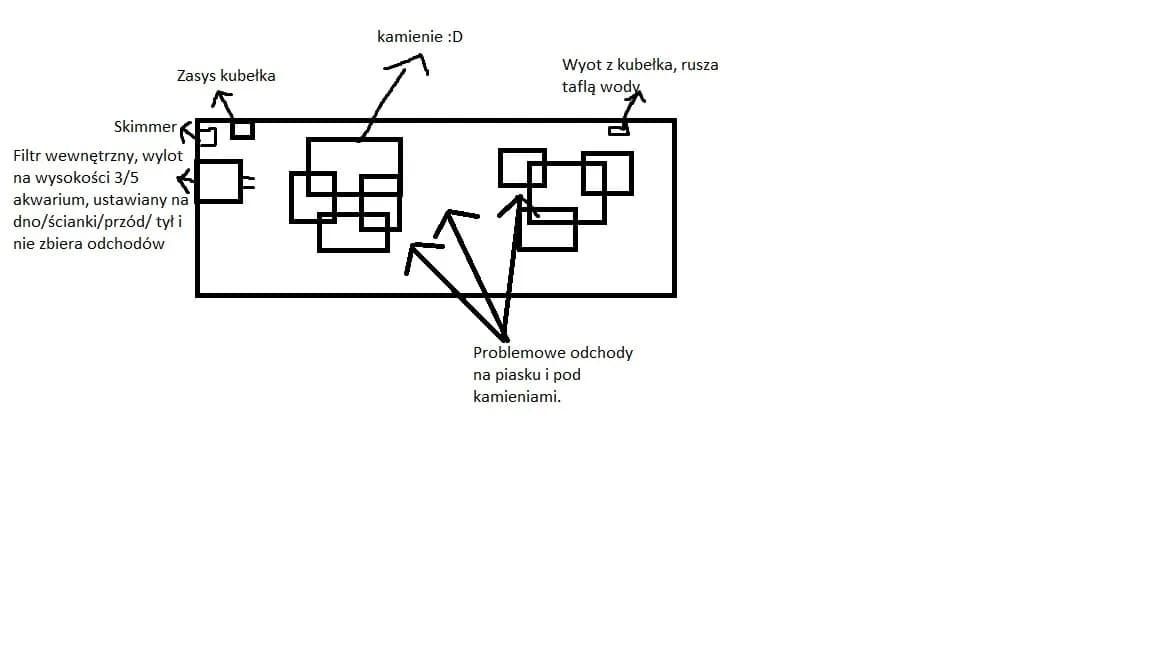 Jak prawidłowo ustawić filtr w akwarium, aby uniknąć problemów z wodą